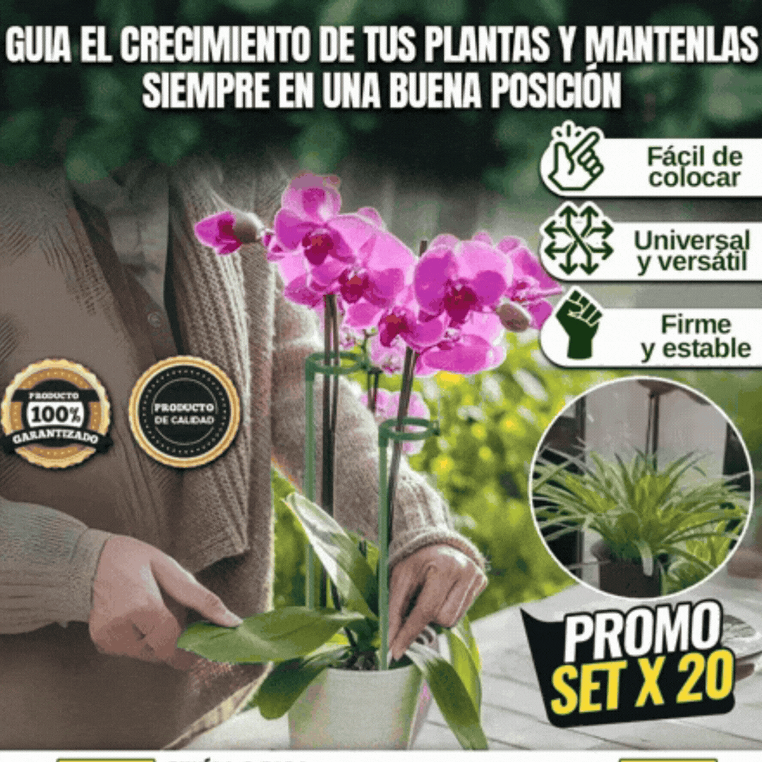 SET SOPORTE PARA PLANTAS VERTICALES.🌿🌟 OFERTA KIT COMPLETO