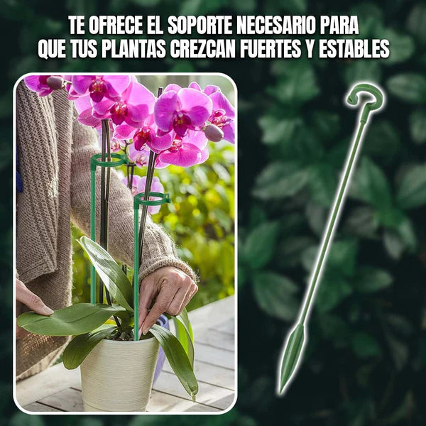 SET SOPORTE PARA PLANTAS VERTICALES.🌿🌟 OFERTA KIT COMPLETO