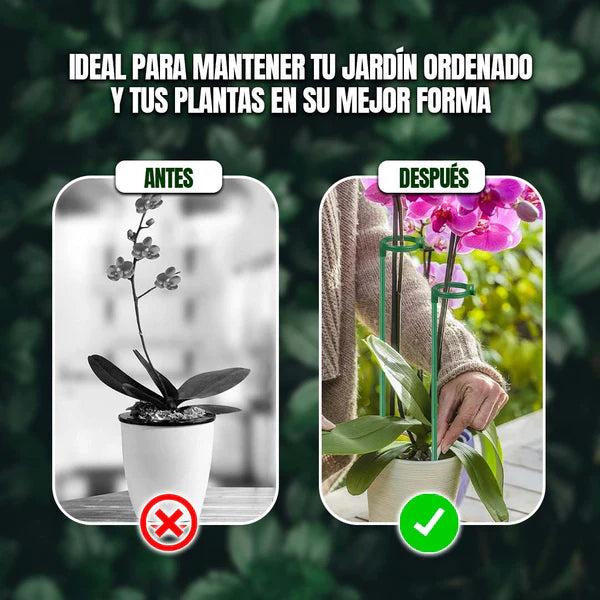 SET SOPORTE PARA PLANTAS VERTICALES.🌿🌟 OFERTA KIT COMPLETO