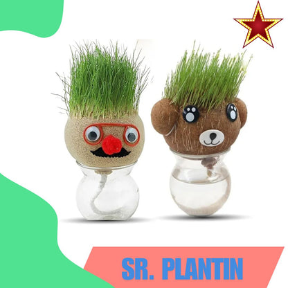 Señor Plantín 🌿 || Mira cómo la magia verde cobra vida en pocos días”