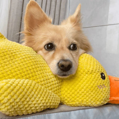 DuckToy™ 🦆 – El peluche indestructible que tu mascota amará morder y abrazar 🐶❤️