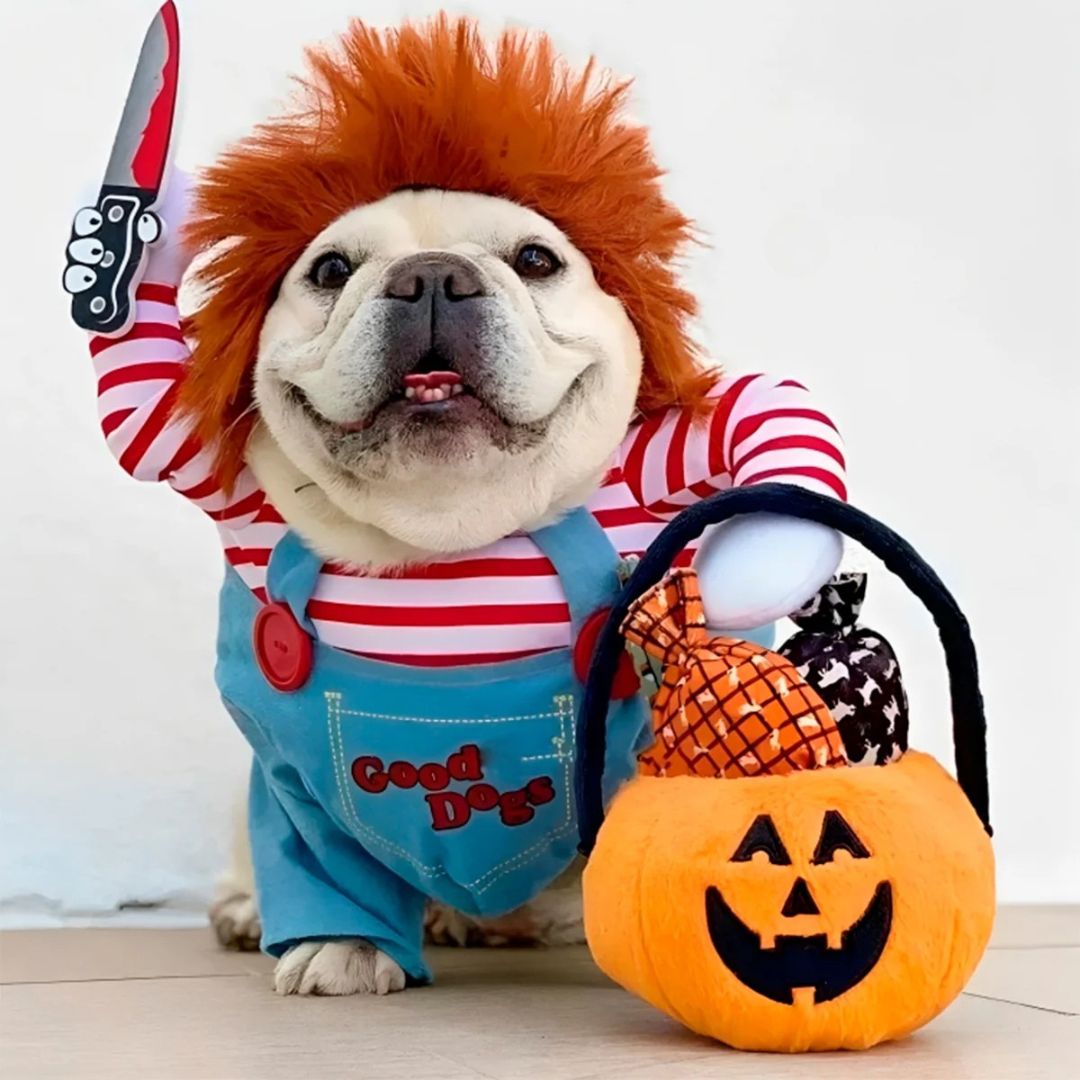 Disfraz Mascotas 2025° Chucky Halloween