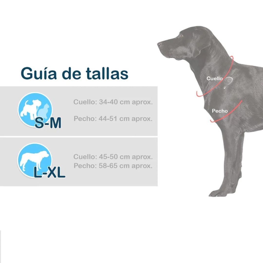 Disfraz Mascotas 2025° Chucky Halloween