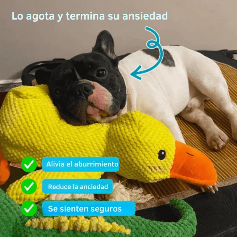 DuckToy™ 🦆 – El peluche indestructible que tu mascota amará morder y abrazar 🐶❤️