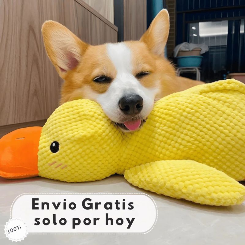 DuckToy™ 🦆 – El peluche indestructible que tu mascota amará morder y abrazar 🐶❤️